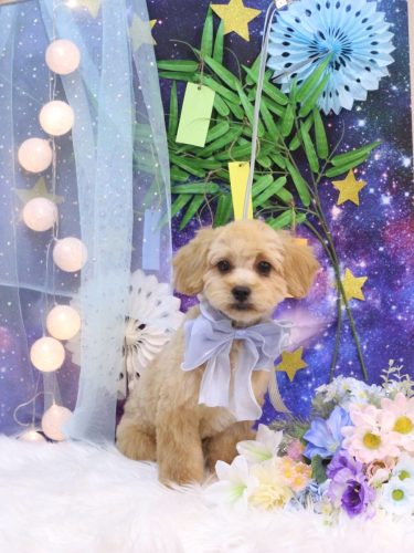 20250704ミルくん